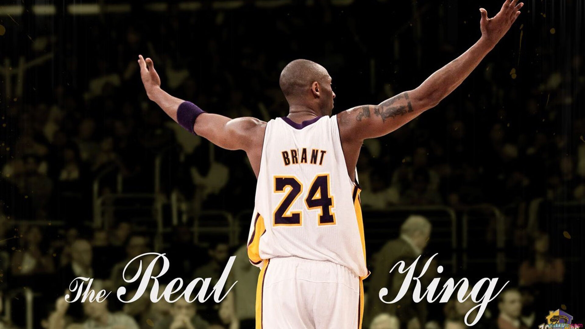 开云体育官网-独行侠淘汰老鹰，布克F1揭幕战称王，竞技场上的接管叙事