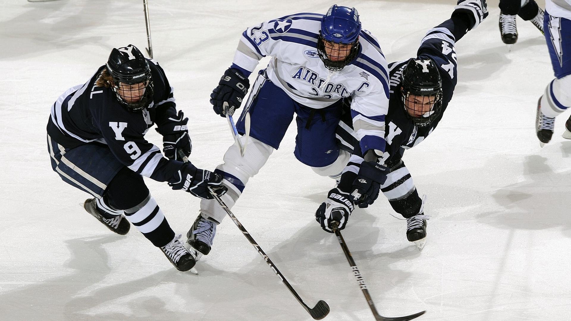 开云体育平台APP-约基奇在F1街道赛接管比赛，当篮球智慧驶入赛车弯道