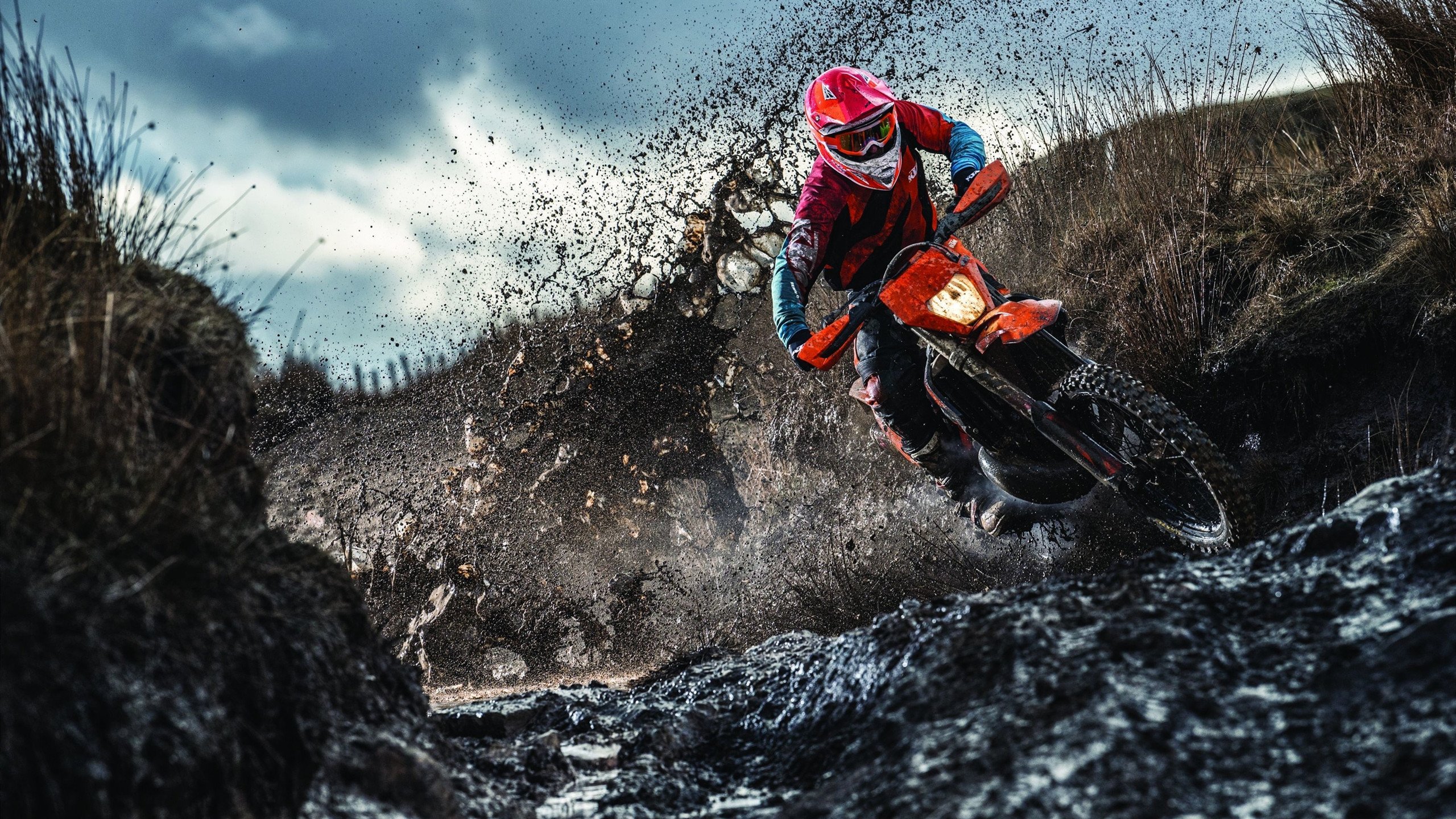 开云体育APP下载-穆勒爆发，当德意志理性在佛罗伦萨的烈焰中淬炼